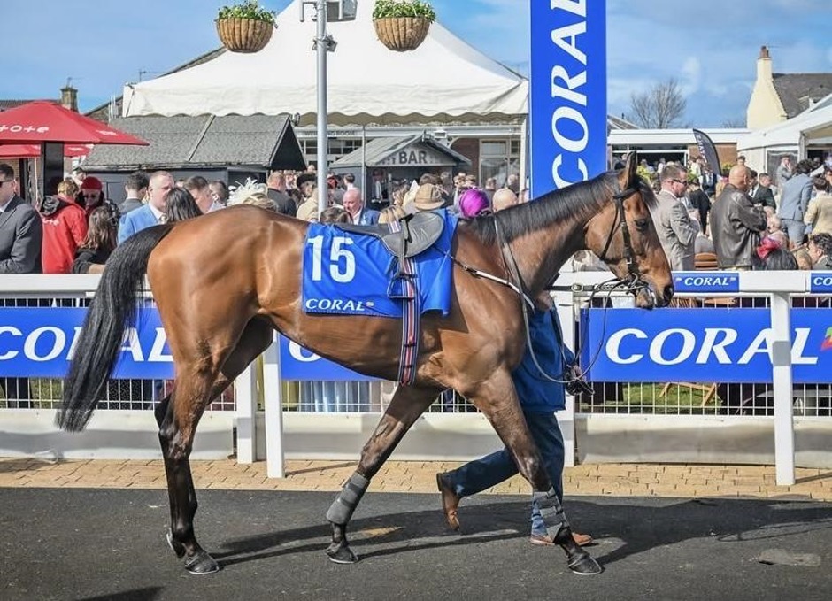 Ayr racecards 29 September 2026 racing at Ayr Racecourse