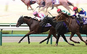 Puro Magic Sprinters Stakes winner at Nakayama Racecourse