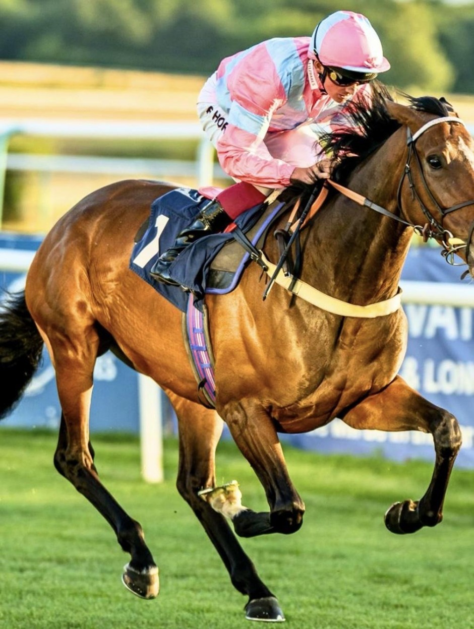 Lingfield Park racecards 1 September 2026 racing action at Lingfield Park Racecourse
