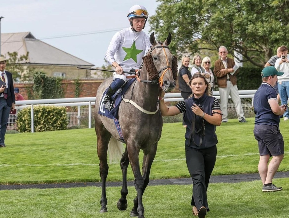 Brighton racecards 1 September 2026 flat racing action at Brighton Racecourse