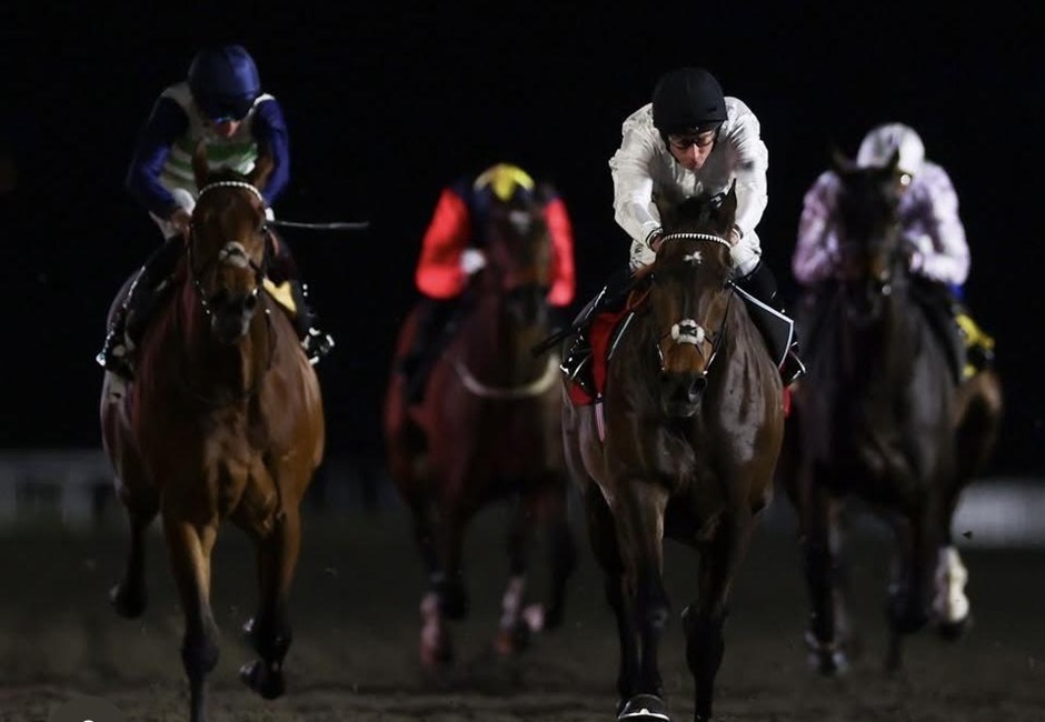 Bath racecards 2 September 2026 flat racing action at Bath Racecourse
