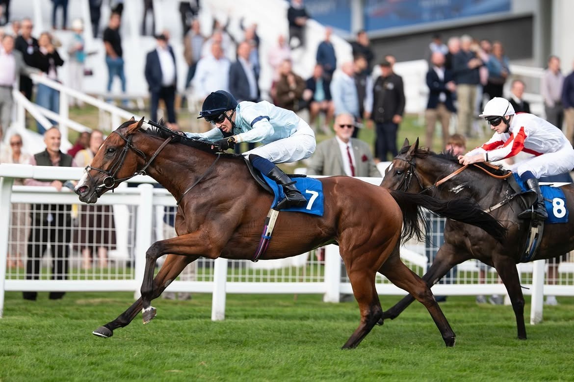 Jonathan Burke riding Nibras Gold at Epsom Downs