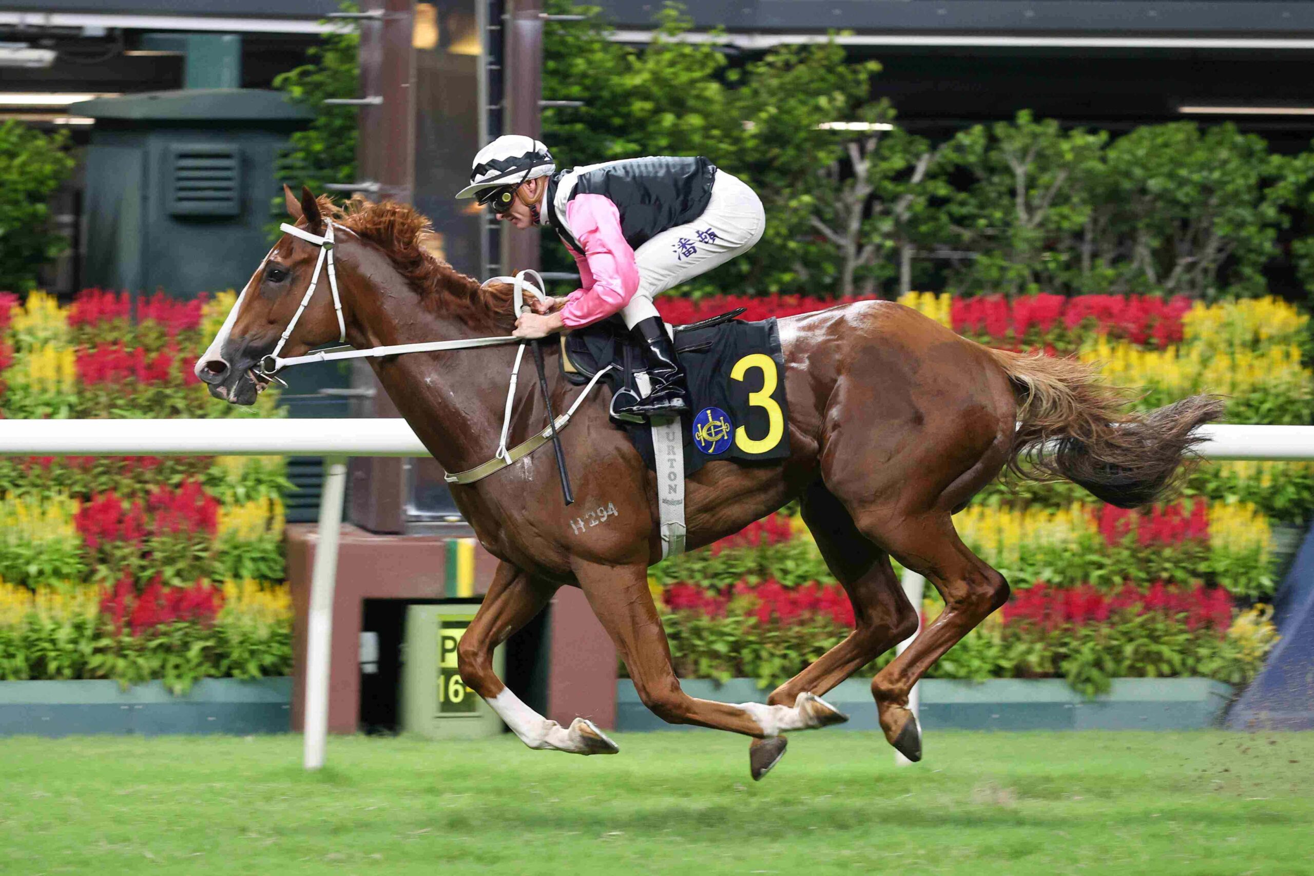 Beauty Waves prepares for the Korea Sprint 2026 at Seoul