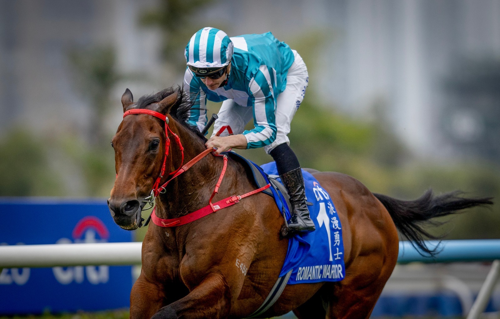 Romantic Warrior retirement after an outstanding Hong Kong racing career