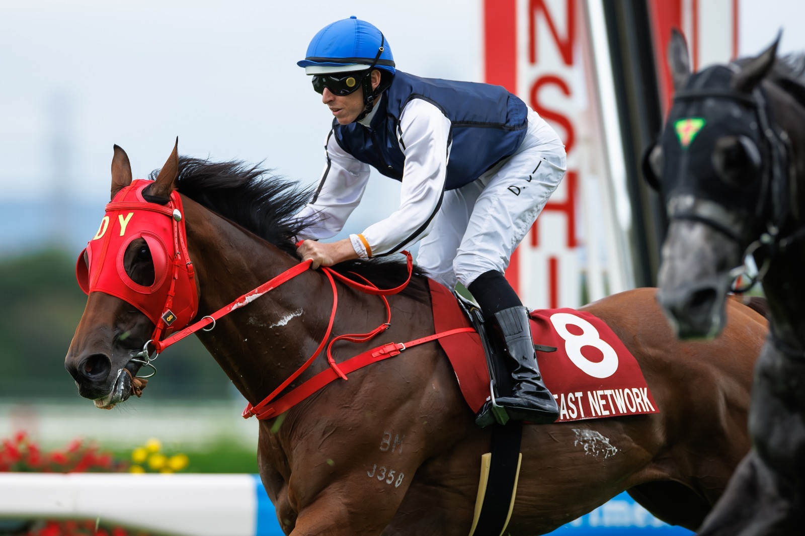 Fast Network in the Centaur Stakes 2026 at Hanshin
