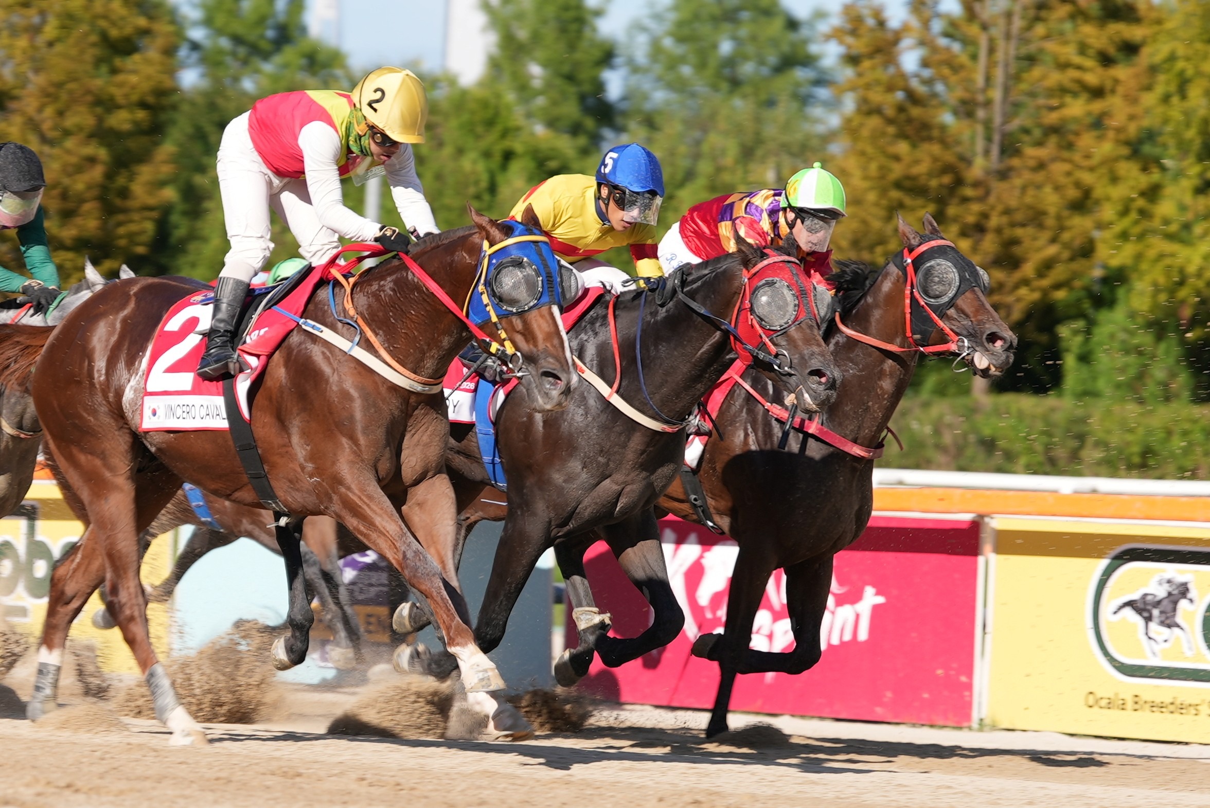 Korea Sprint 2026 featuring Dragon Welds at Seoul Racecourse