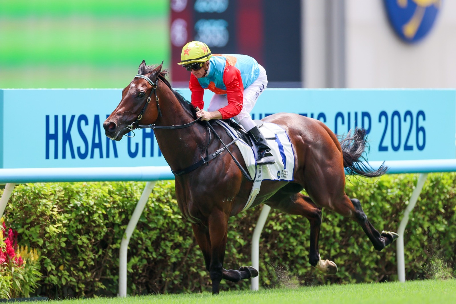 Ka Ying Rising wins at Sha Tin Racecourse
