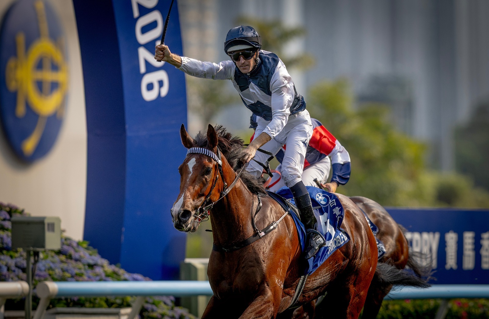 Invincible Ibis and Helios Express ahead of the G3 Celebration Cup at Sha Tin Racecourse