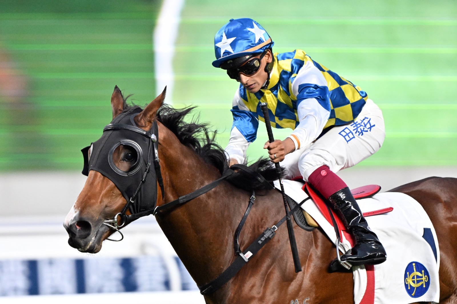 Galaxy Patch preparing for the Celebration Cup at Sha Tin Racecourse