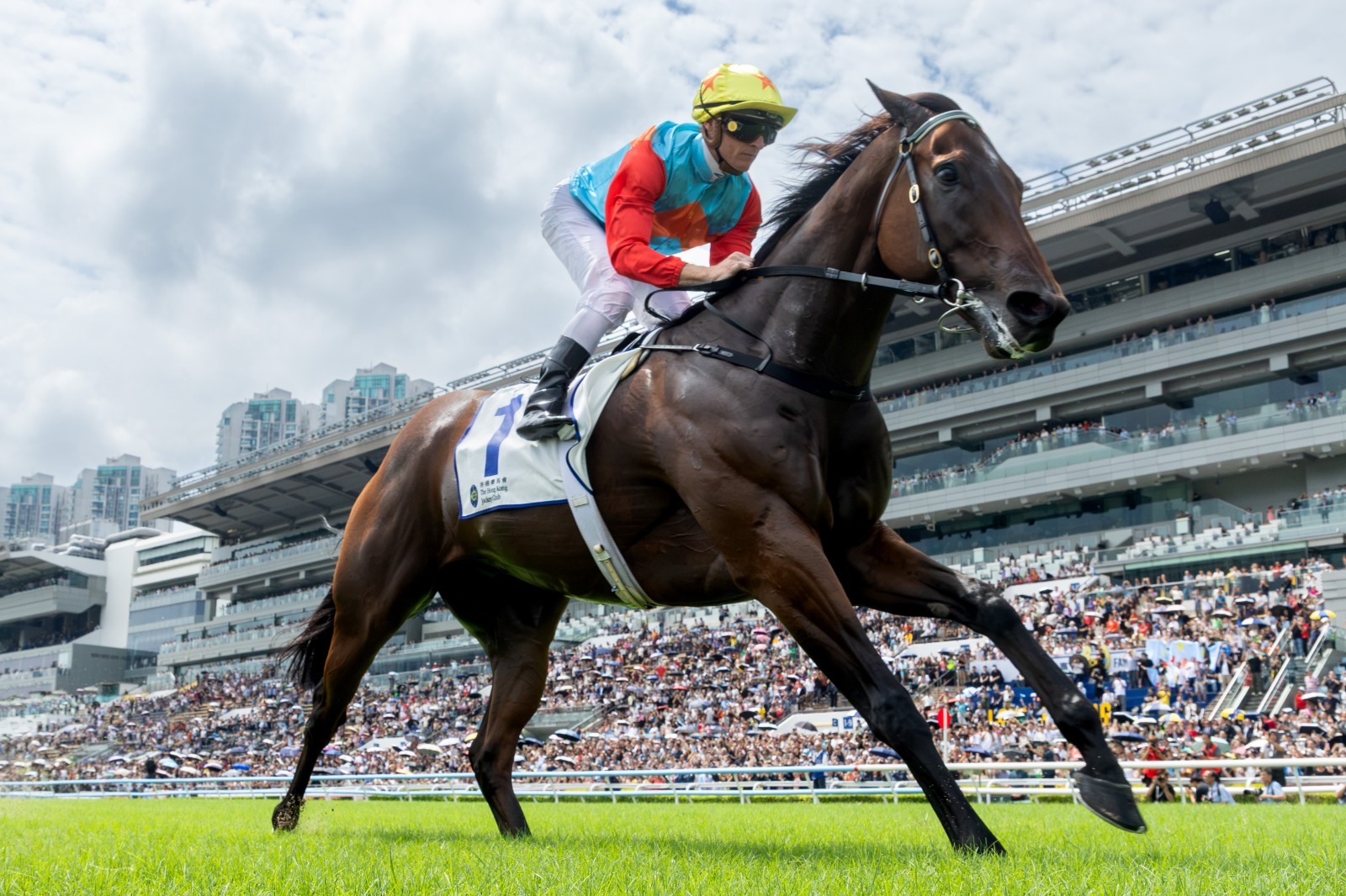 Ka Ying Rising The Everest preparation during his final Sha Tin gallop