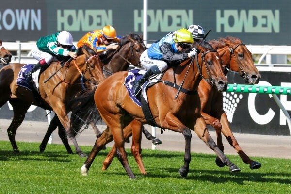 Cap d’Antibes Stakes 2026 winner Satono Glow at Flemington