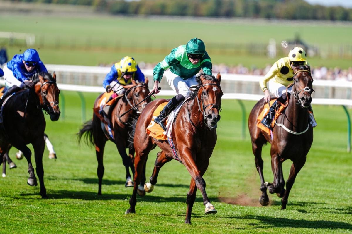 Cambridgeshire Saturday 2026 winner Sun Goddess at Newmarket