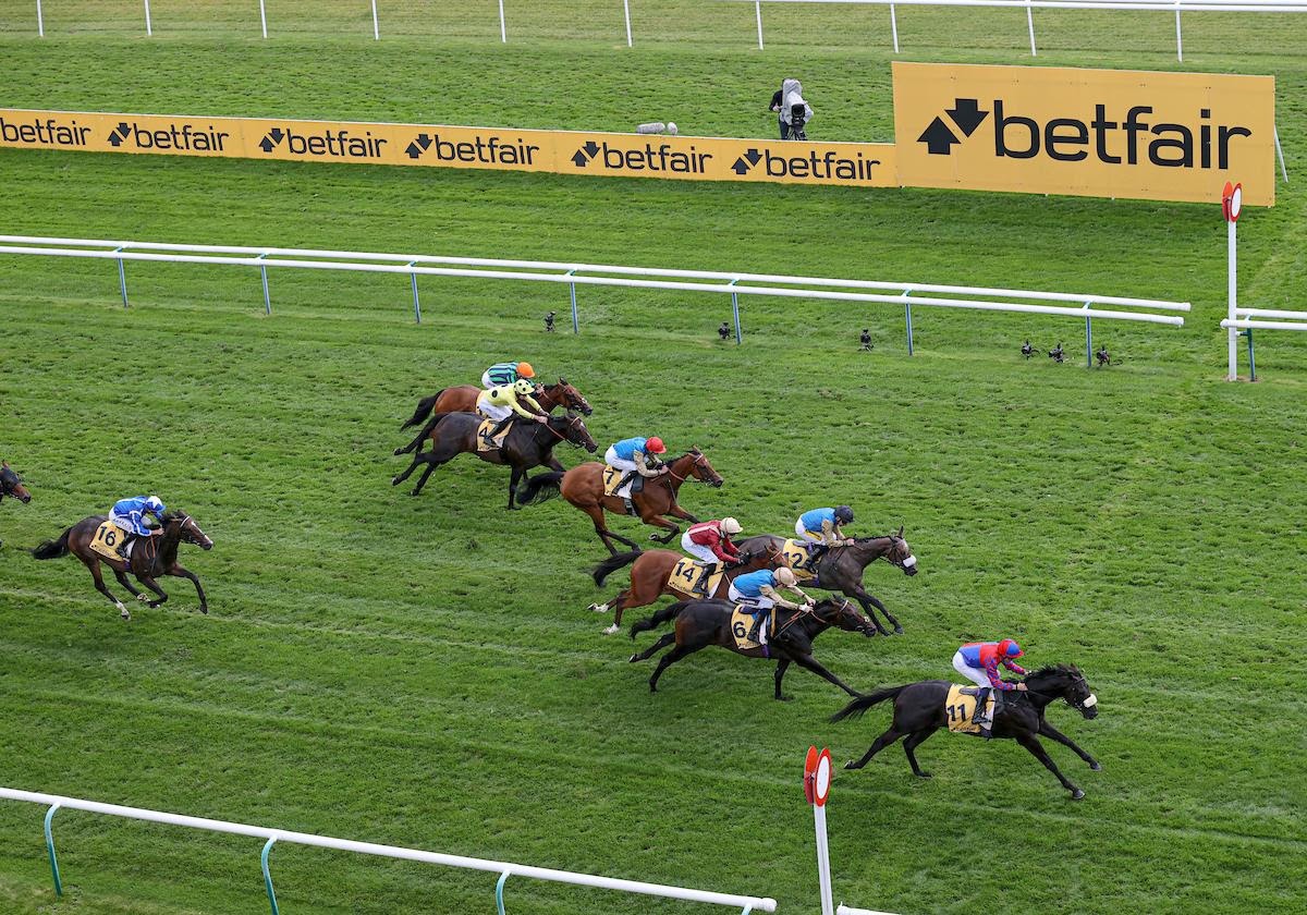 Kind Of Blue and Paborus ahead of Sprint Cup 2026 at Haydock
