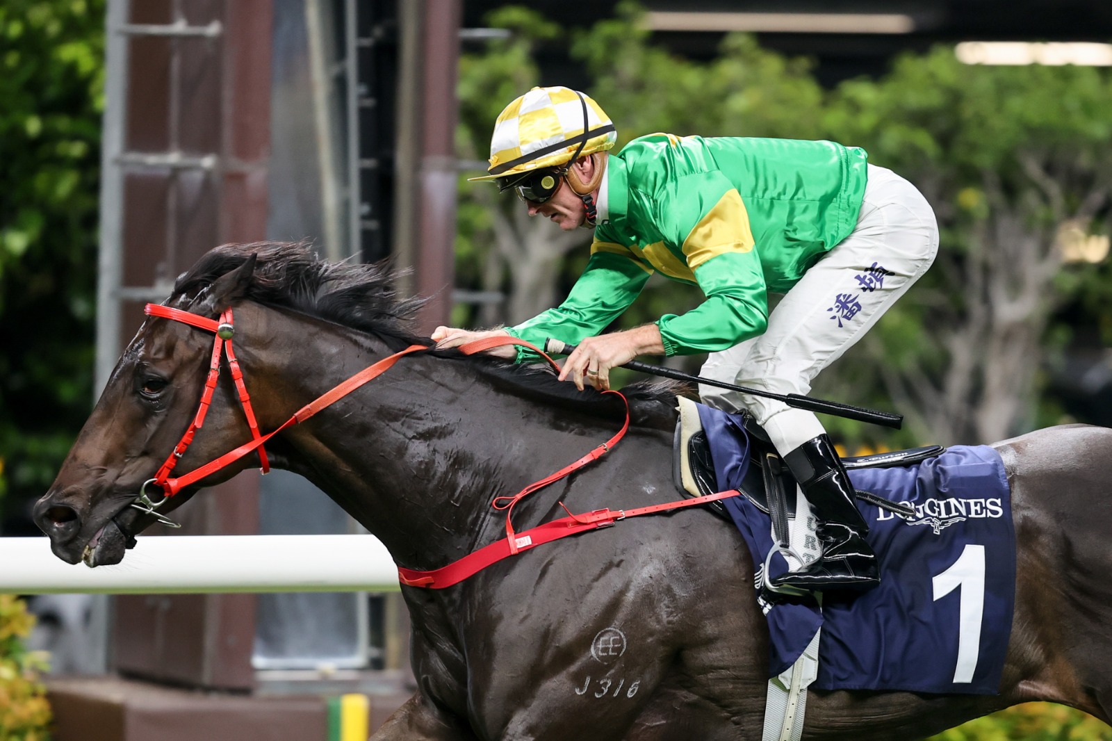 Bottomuptogether wins the 1000-metre LONGINES Cup Handicap at Happy Valley under Zac Purton on 21 October 2026