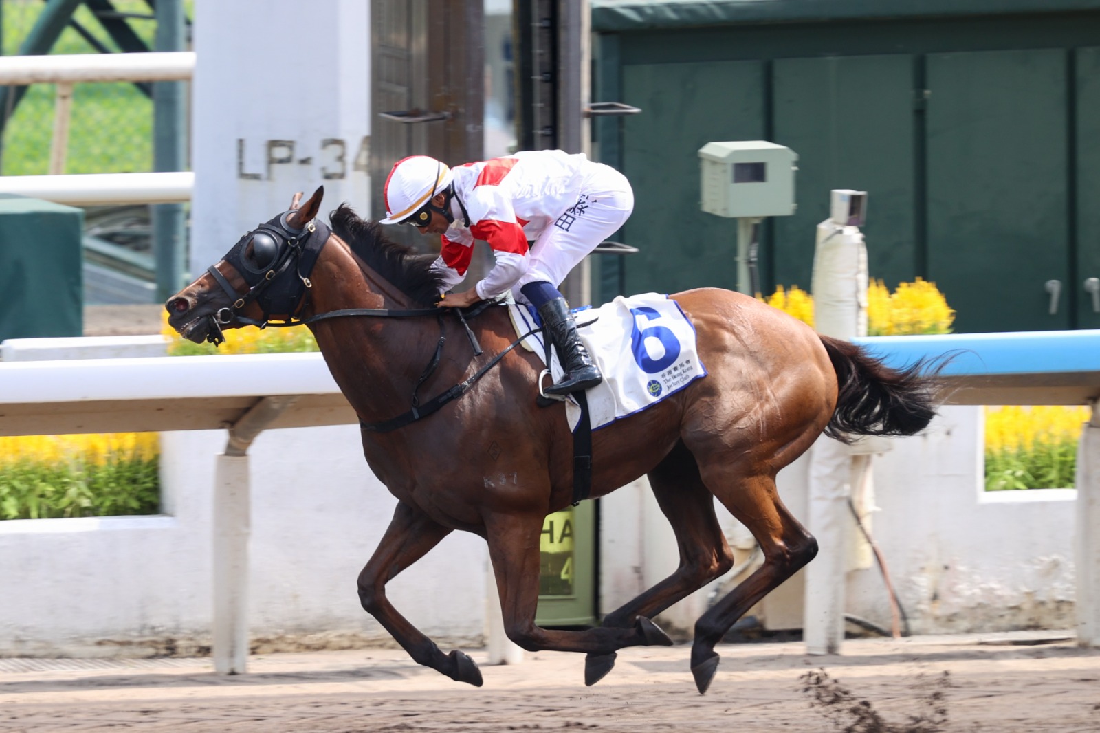 Definitive Sha Tin win in the Class 2 Muk Min Ha Handicap