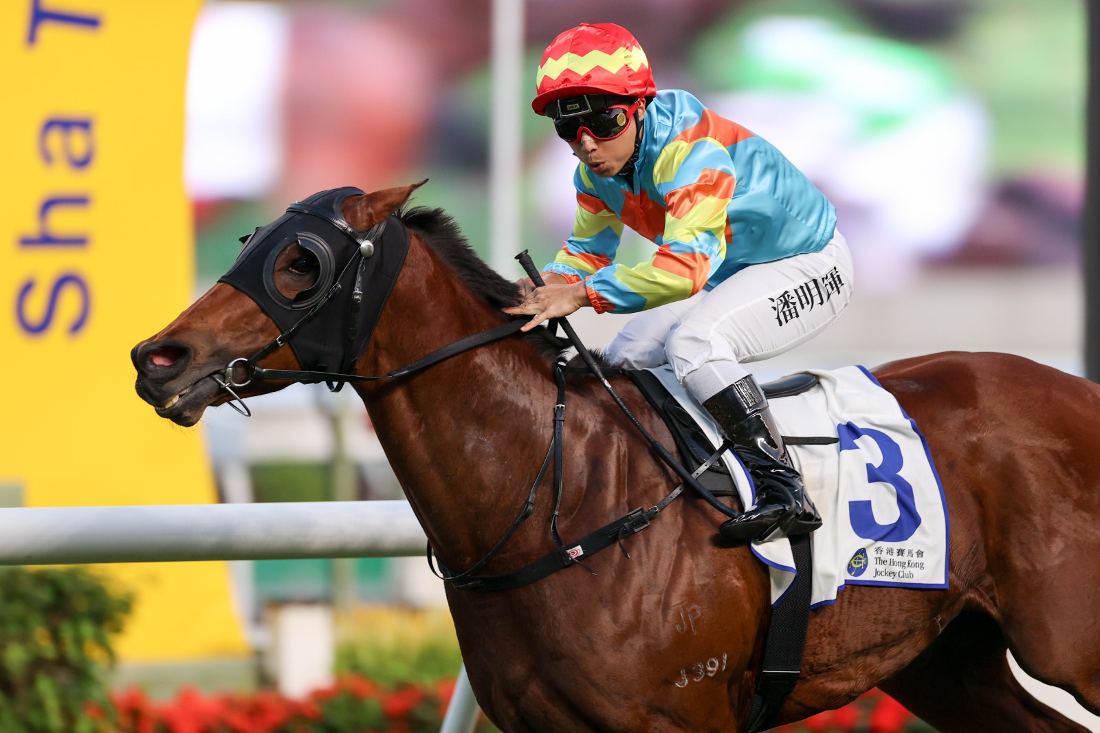 David Hall celebrates his 700th Hong Kong win after a double at Sha Tin