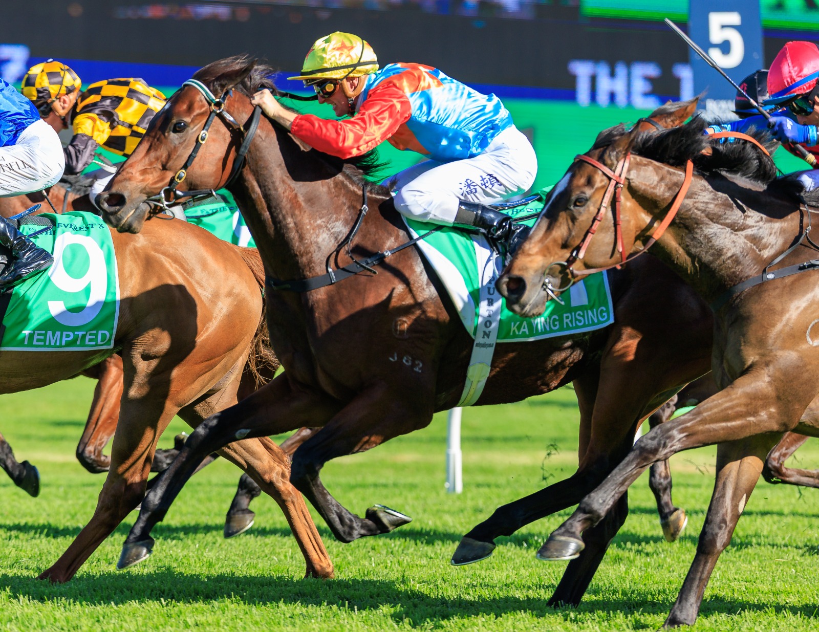 Ka Ying Rising prepares to return to Hong Kong after The Everest at Randwick