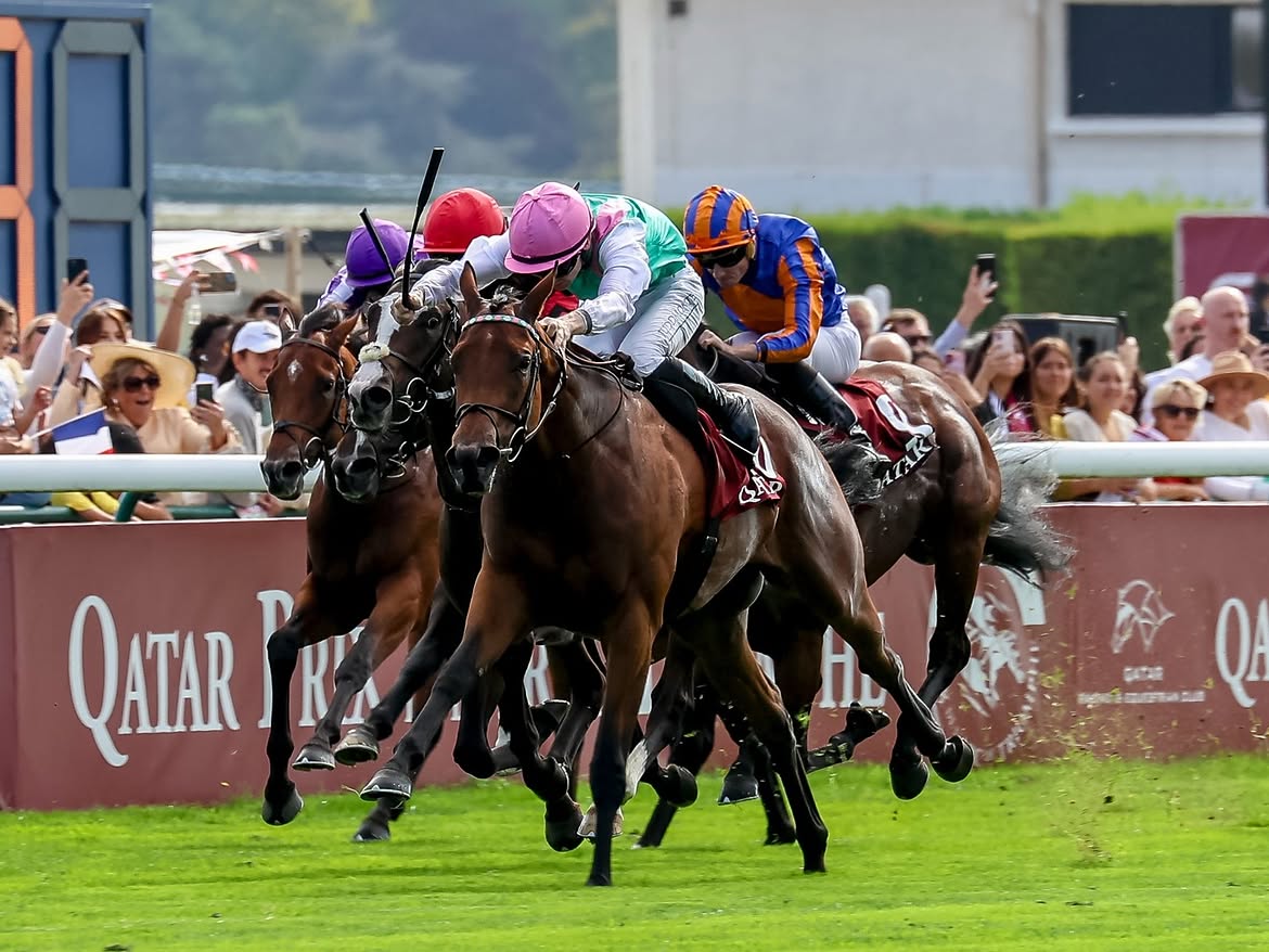 Breeders’ Cup 2026 horses preparing for Keeneland World Championships