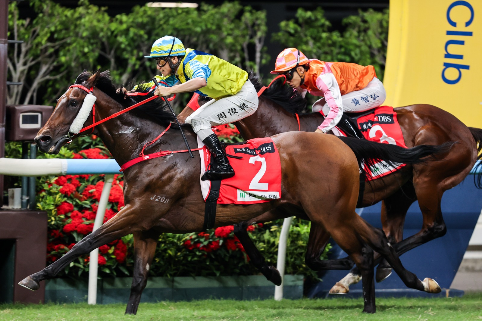 Massive Sovereign wins the 1800m handicap at Happy Valley under Jerry Chau