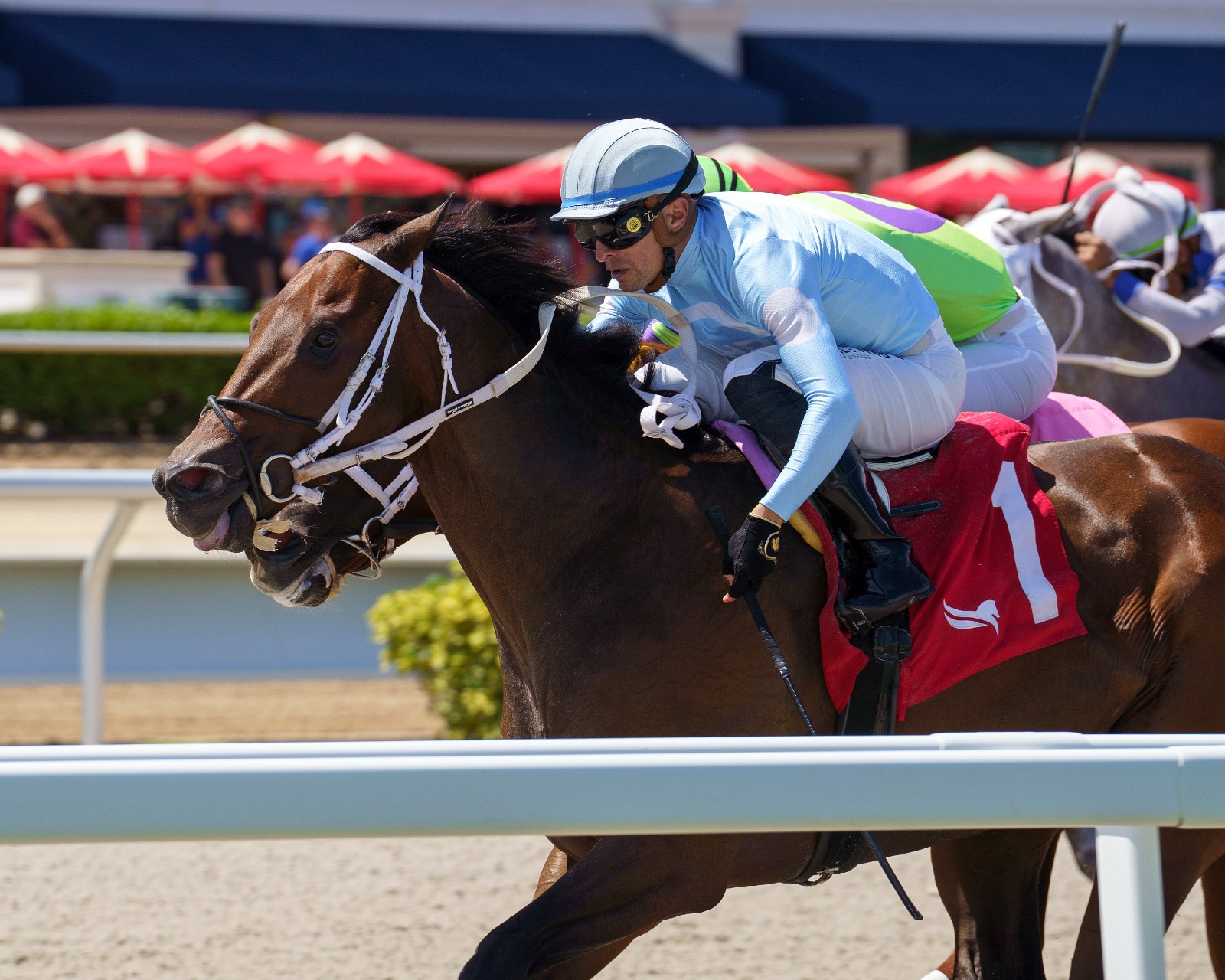 Mattingly prepares for the Chasing Artie Handicap at Gulfstream Park with Fernando De La Cruz