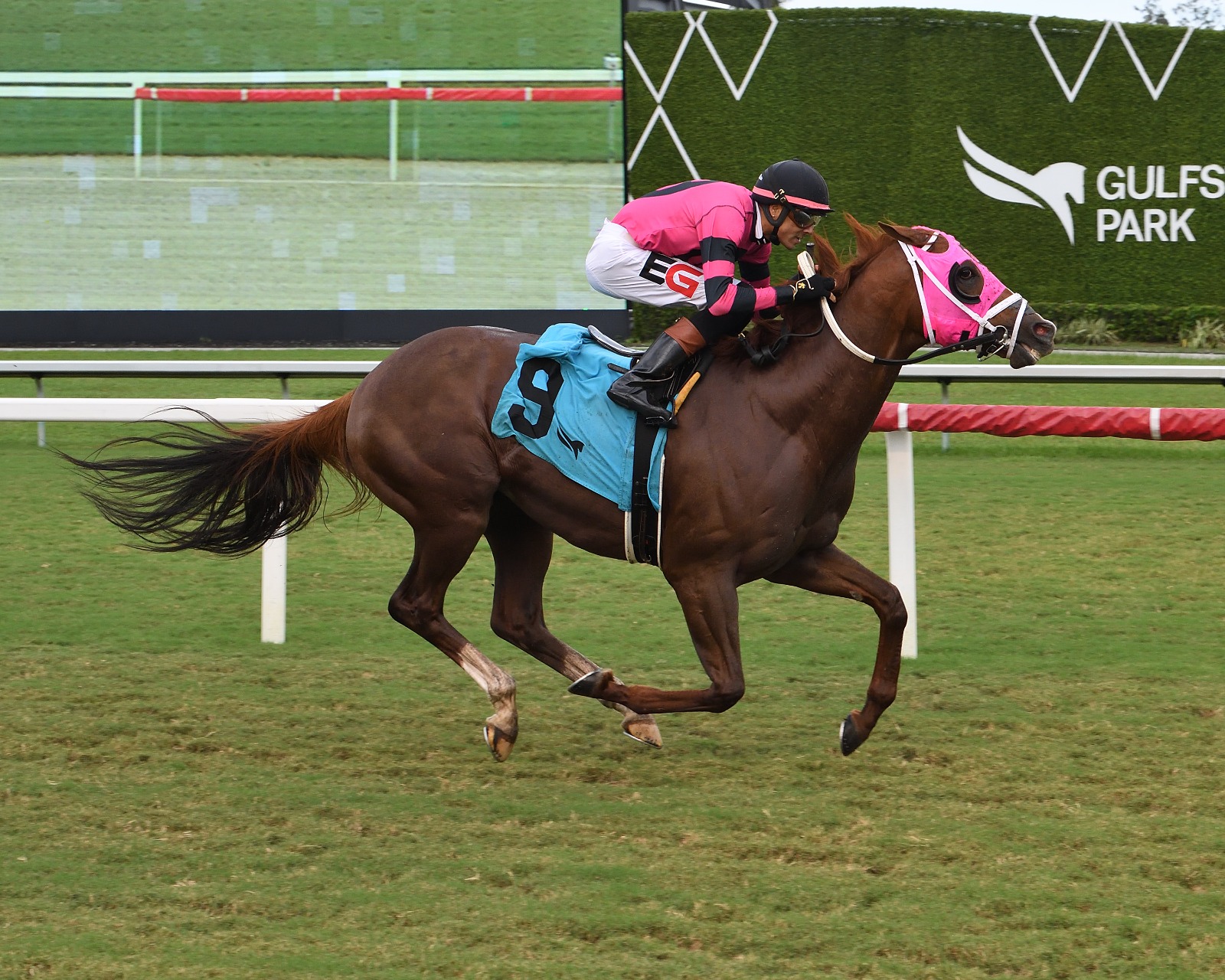 Edwin Gonzalez rides Neat to Miami Mile Victory at Gulfstream Park