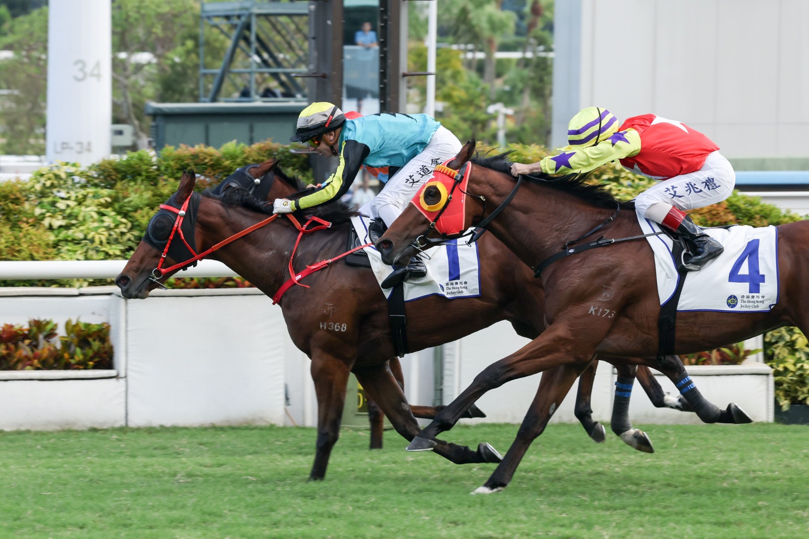Raging Blizzard wins the Premier Bowl Handicap at Sha Tin in October 2026