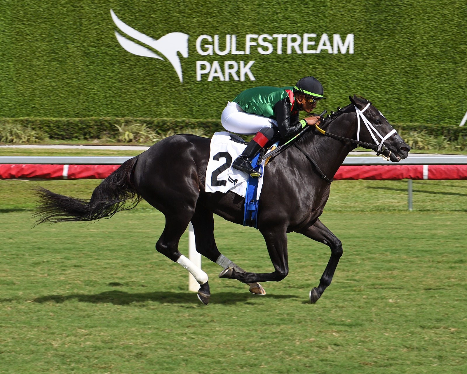 Remember the Time wins by 8¼ lengths at Gulfstream Park under jockey Micah Husbands