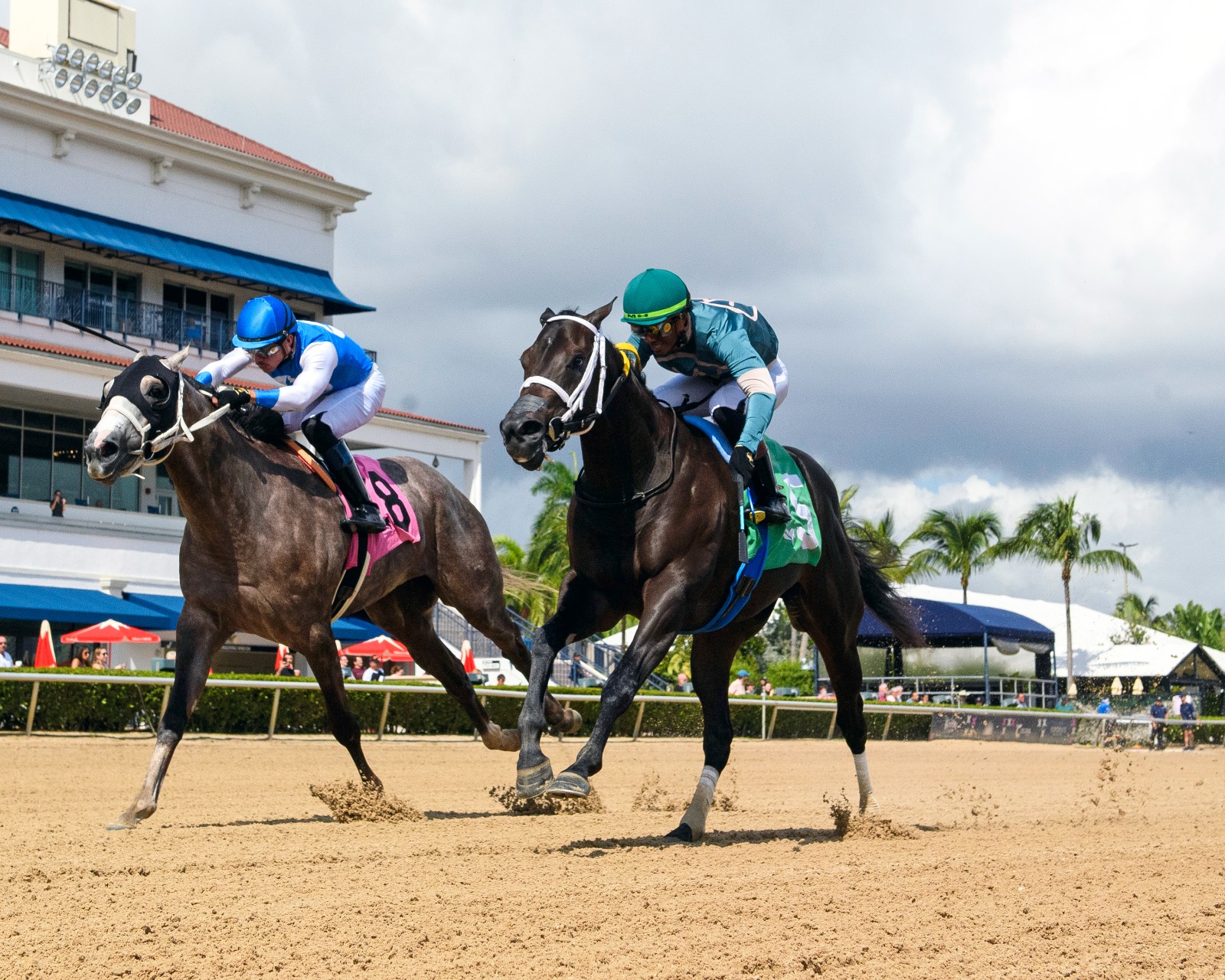Senti La Voce wins his Gulfstream Park debut under jockey Micah Husbands