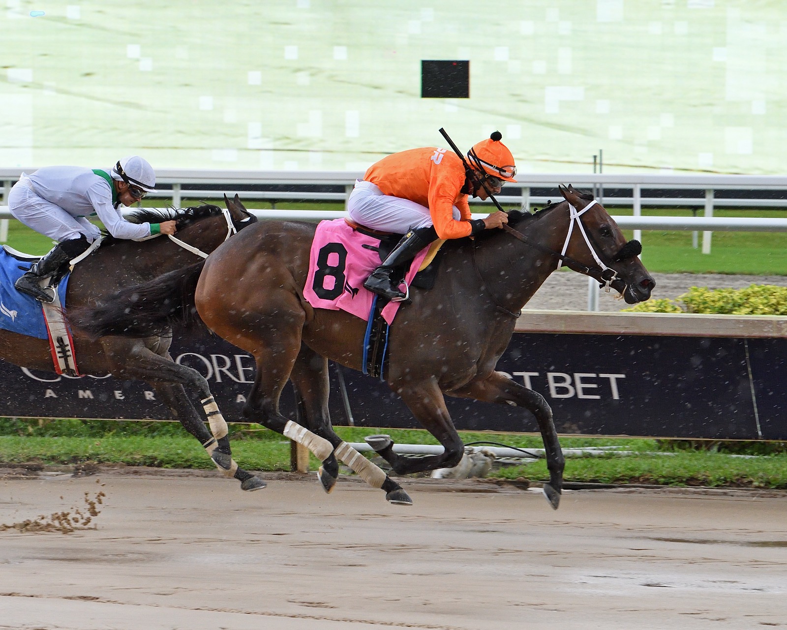So Icy wins her six-furlong debut at Gulfstream Park
