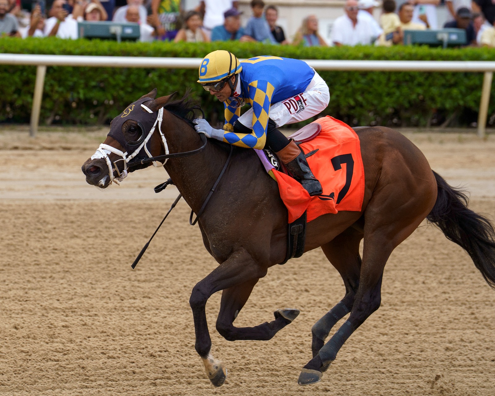 Stick Talk and Edwin Gonzalez in the Palm Bay at Gulfstream Park