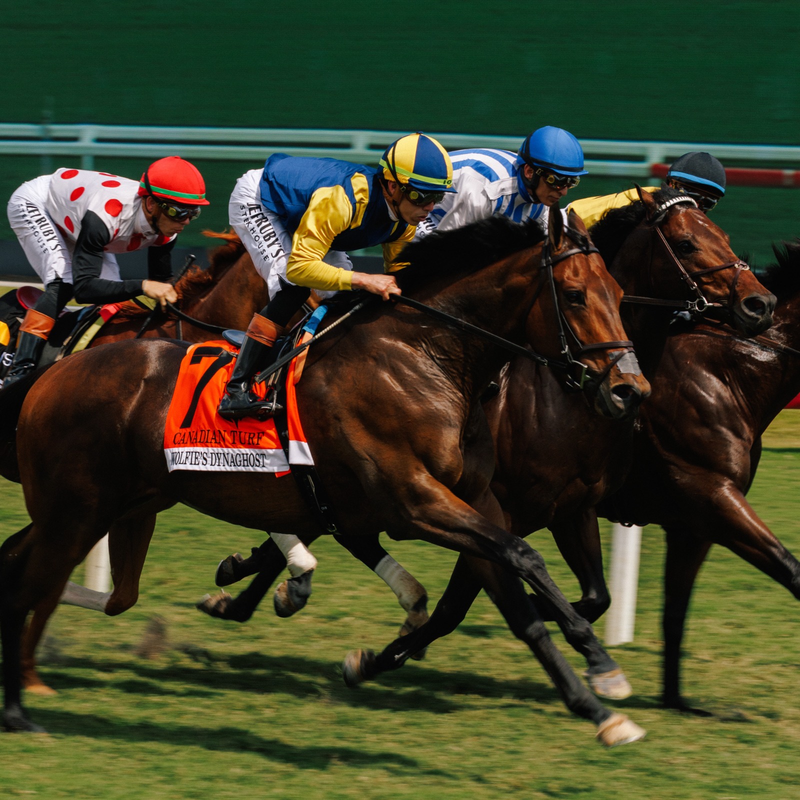 Kerry’s Kiss prepares for the Breeders’ Cup Filly & Mare Sprint at Keeneland