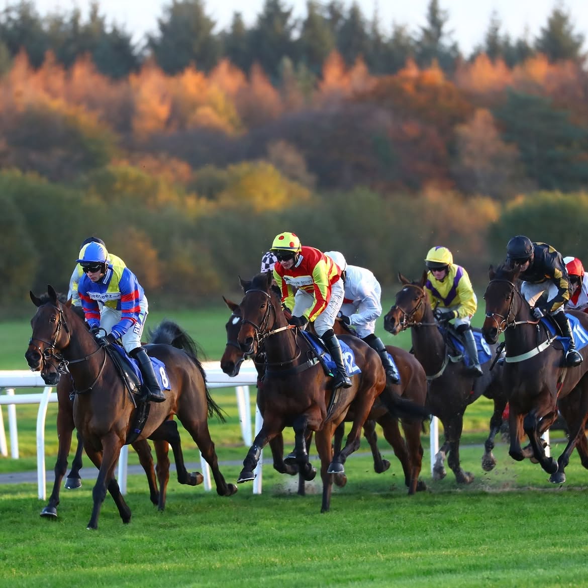 Racingclub.com sponsorship at Exeter Racecourse’s Haldon Gold Cup meeting