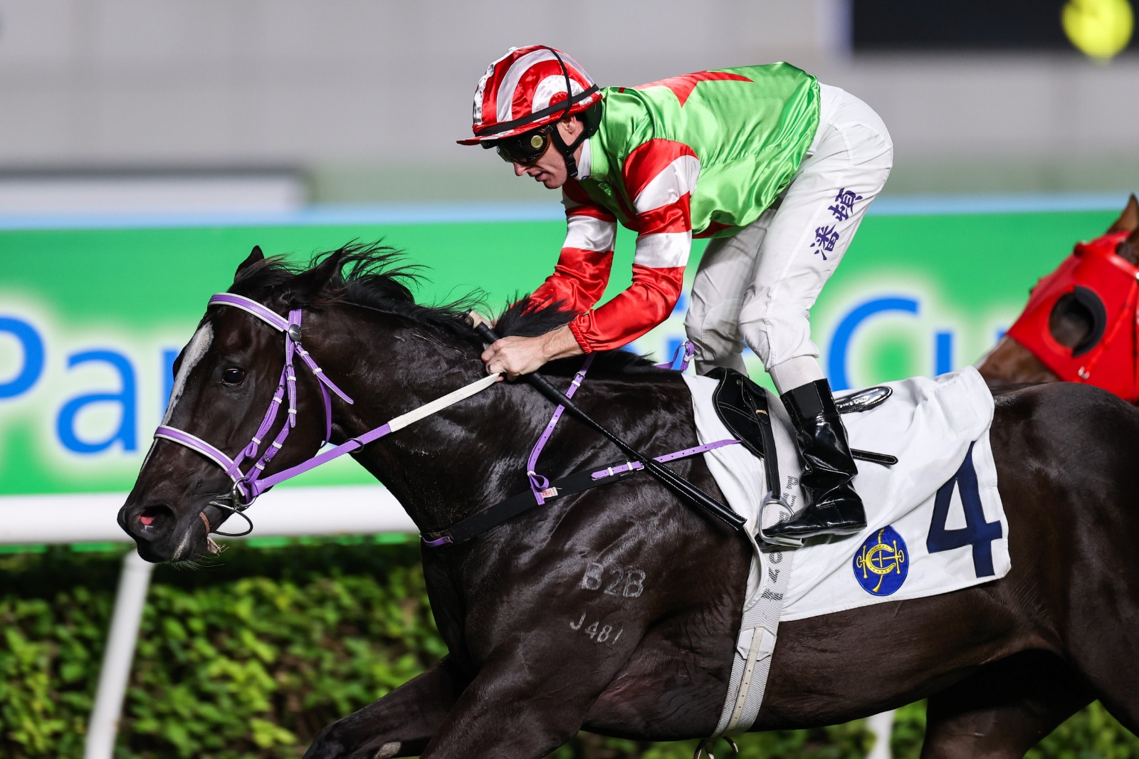 Top Dragon Sha Tin dirt debut with jockey James Orman at Sha Tin Racecourse