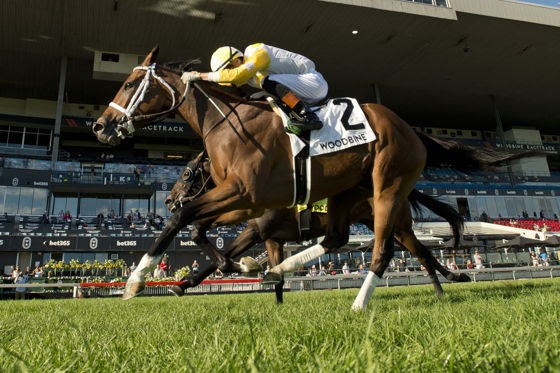 Dixie Law heads the Ontario Damsel field at Woodbine