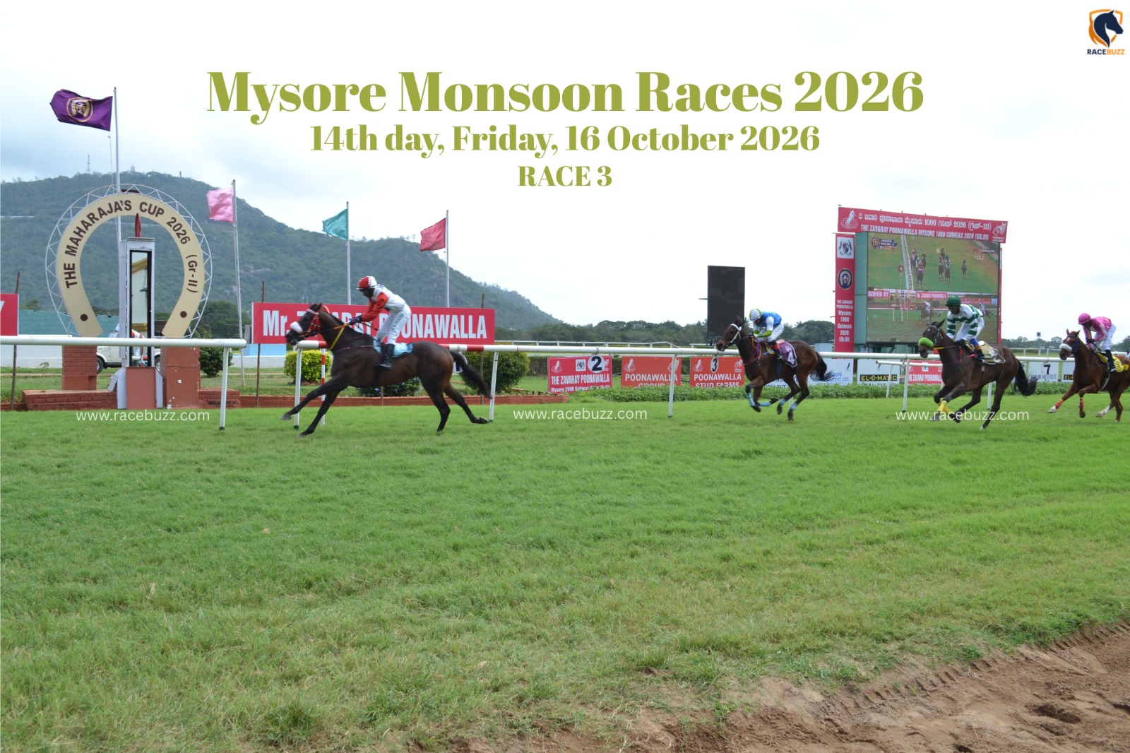 Shamsheer wins The Ladies Circle India Cup Div I at Mysore Race Club on 16 October 2026