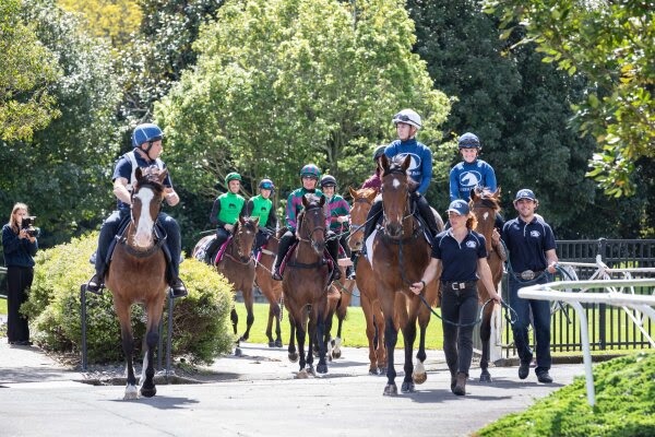 NZB Ready to Run Sale two-year-old prospects preparing for the Te Rapa Breeze Ups in October 2026