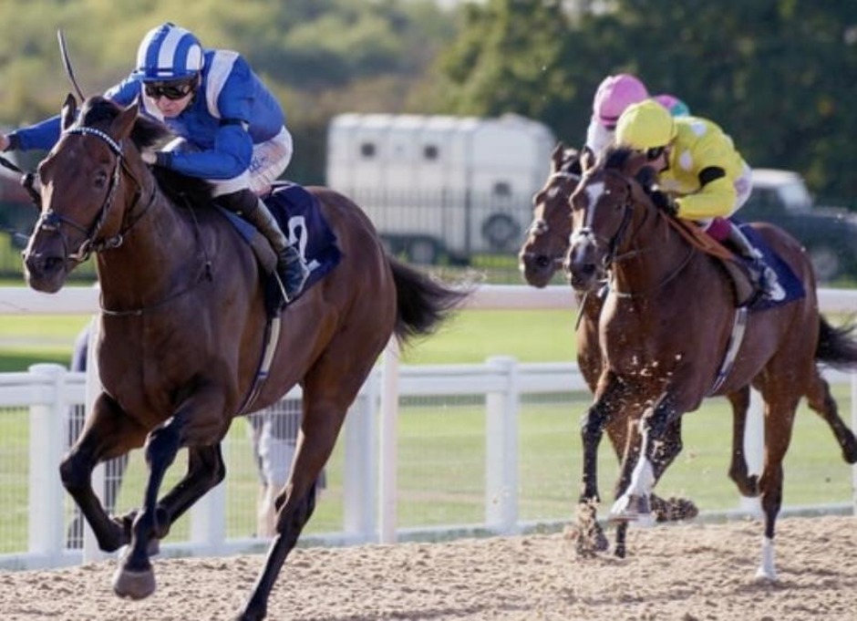Southwell racecards 1 October 2026 all-weather racing at Southwell Racecourse