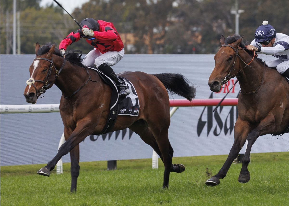 Ninja among the highlights of the Inglis October Sale