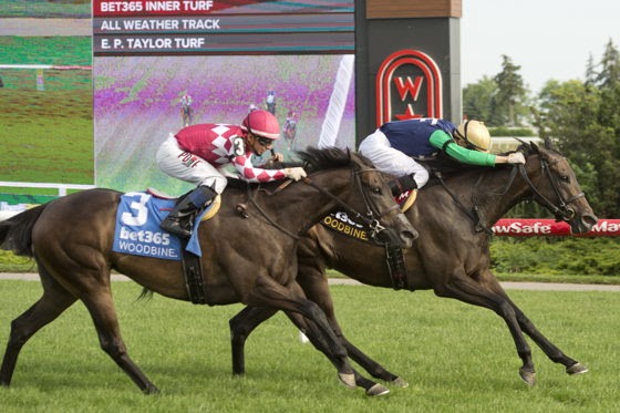 Power of Destiny set for the Dance Smartly Stakes at Woodbine