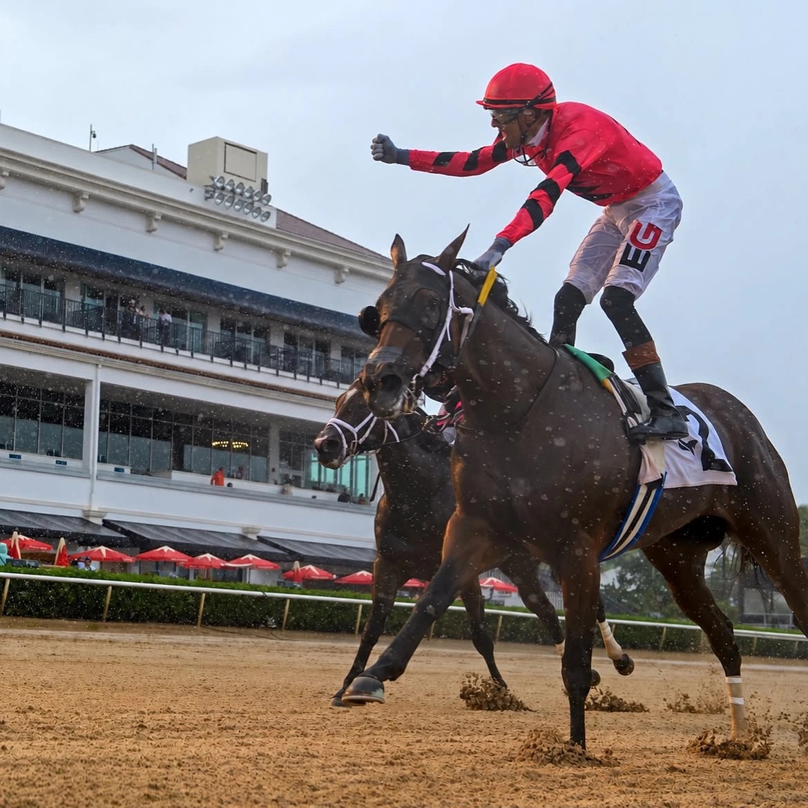 Gulfstream Park Saturday racing programme featuring the Miami Mile and Palm Bay