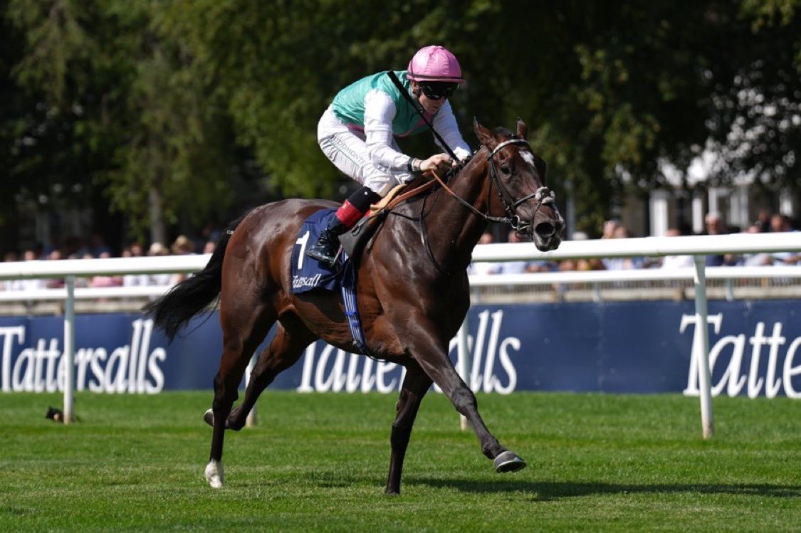 Exeter Wincanton fixtures affected by dry October weather