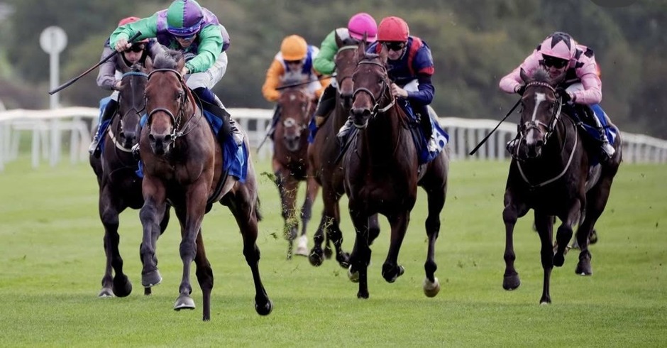 Leicester racecards 6 October 2026 flat racing at Leicester Racecourse