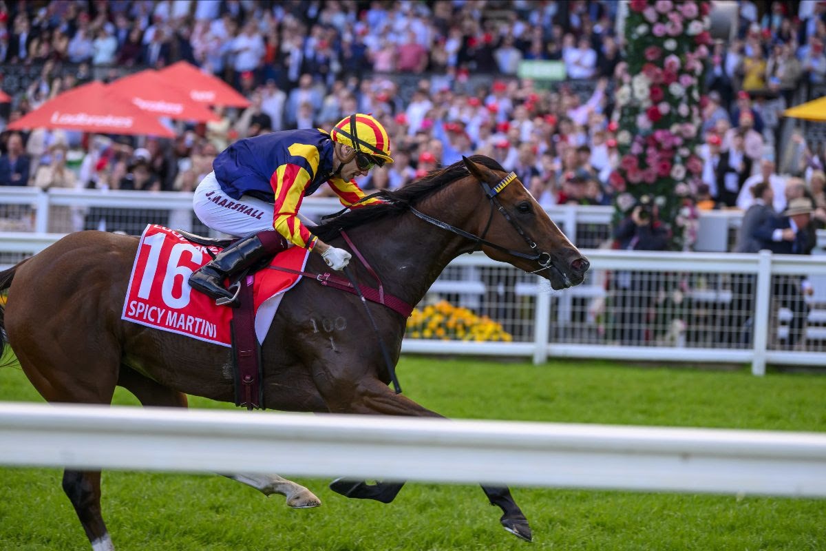 Spicy Martini heading to The Everest 2026 at Randwick