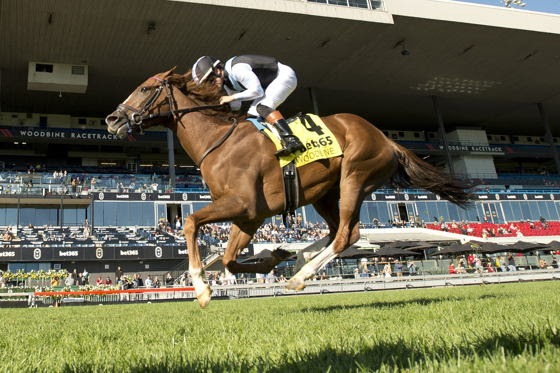 Warming Dance Smartly win at Woodbine under Fraser Aebly