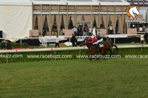 Hyderabad racecards 12 October 2026 Indian horse racing at Hyderabad Racecourse