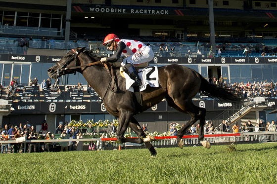 Victory Achieved Nearctic Stakes winner at Woodbine