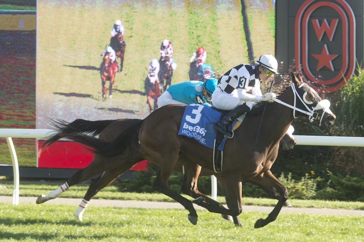 Mrs D winning the Mrs D Algonquin Stakes at Woodbine