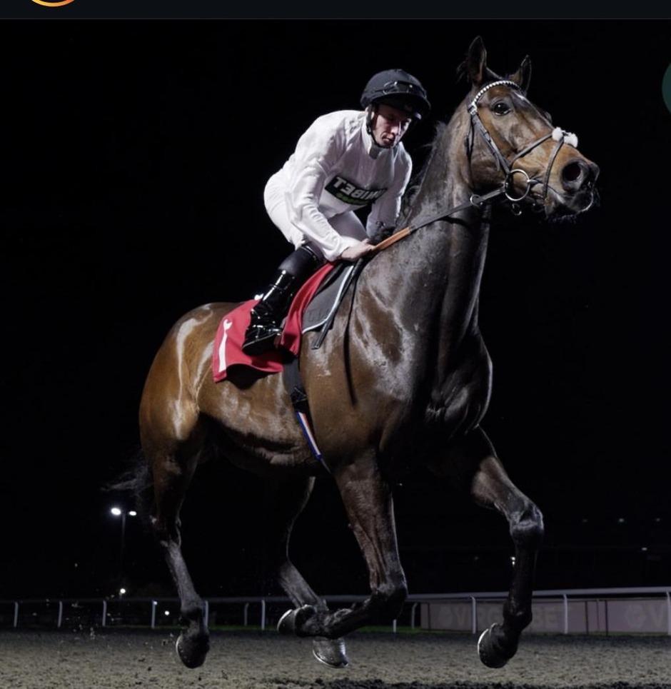 Kempton Park Set for Nine-Race All-Weather Card on Friday