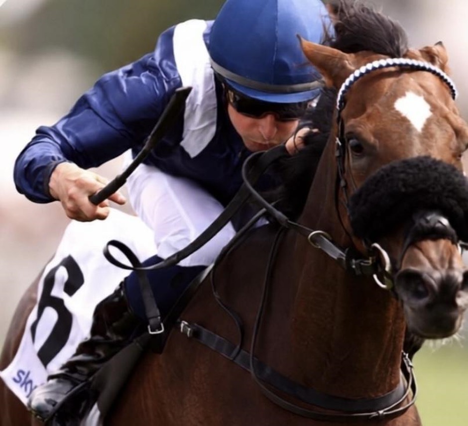 Compiegne racecards 19 October 2026 at Compiegne Racecourse