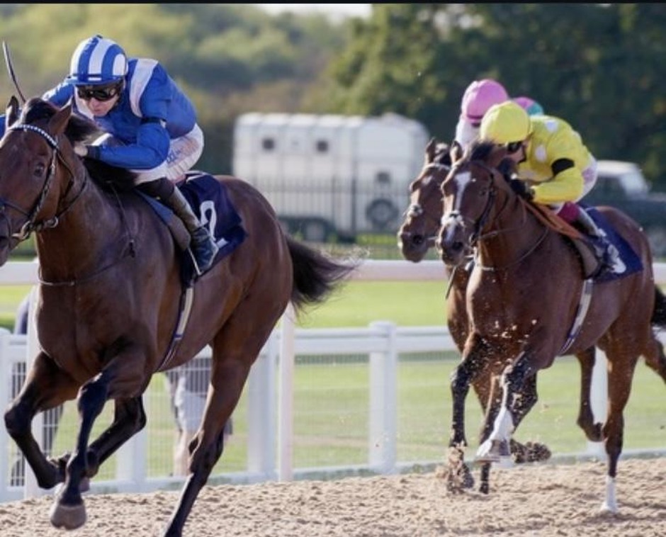 Southwell racecards 10 October 2026 all-weather racing at Southwell Racecourse
